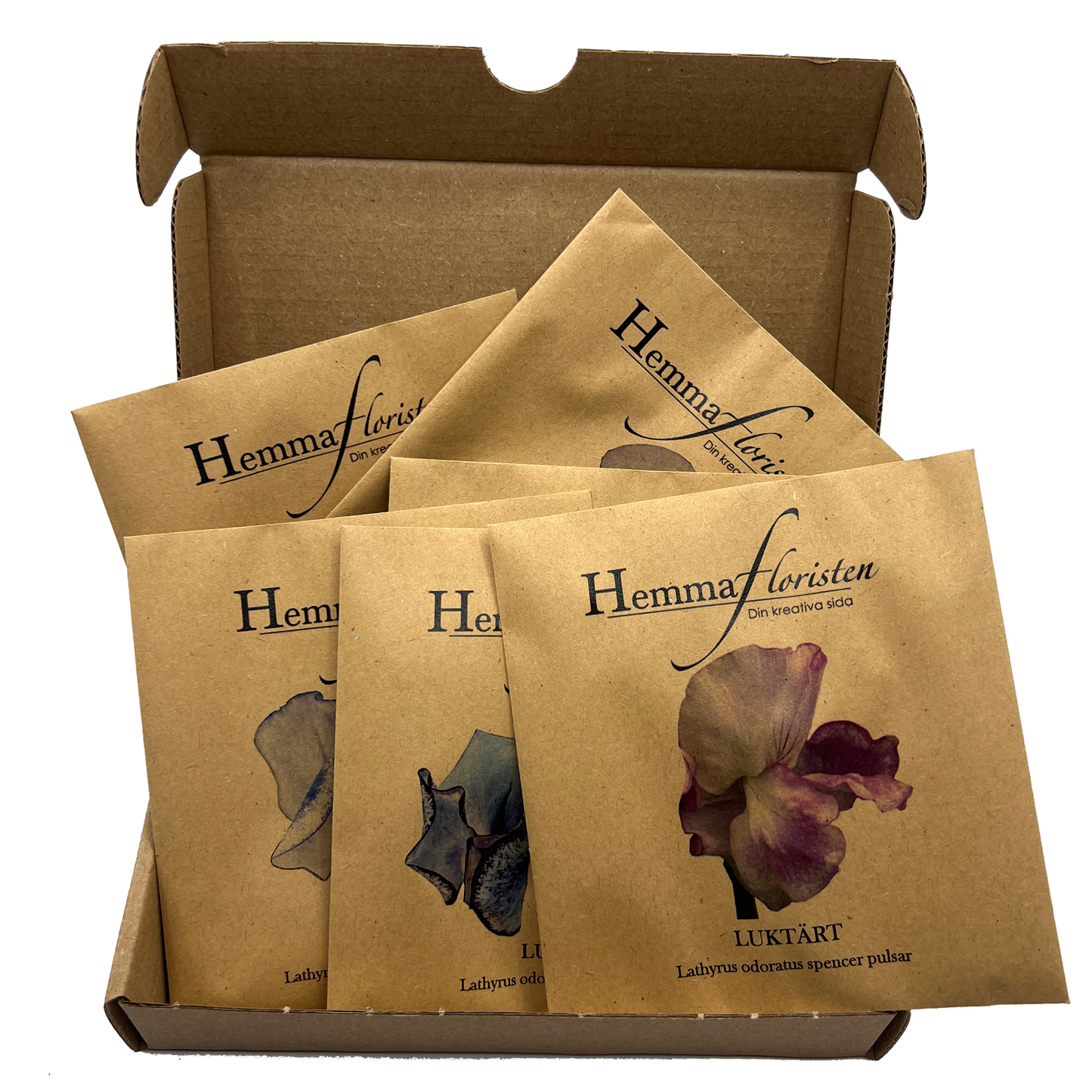 Fröbox Luktärt ton i ton