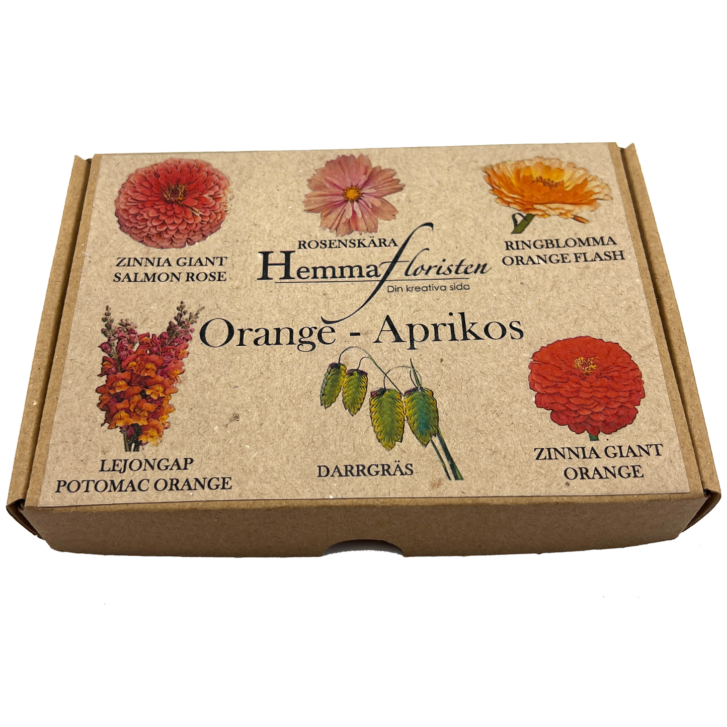 Fröbox Orange - Aprikos