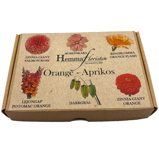 Fröbox Orange - Aprikos
