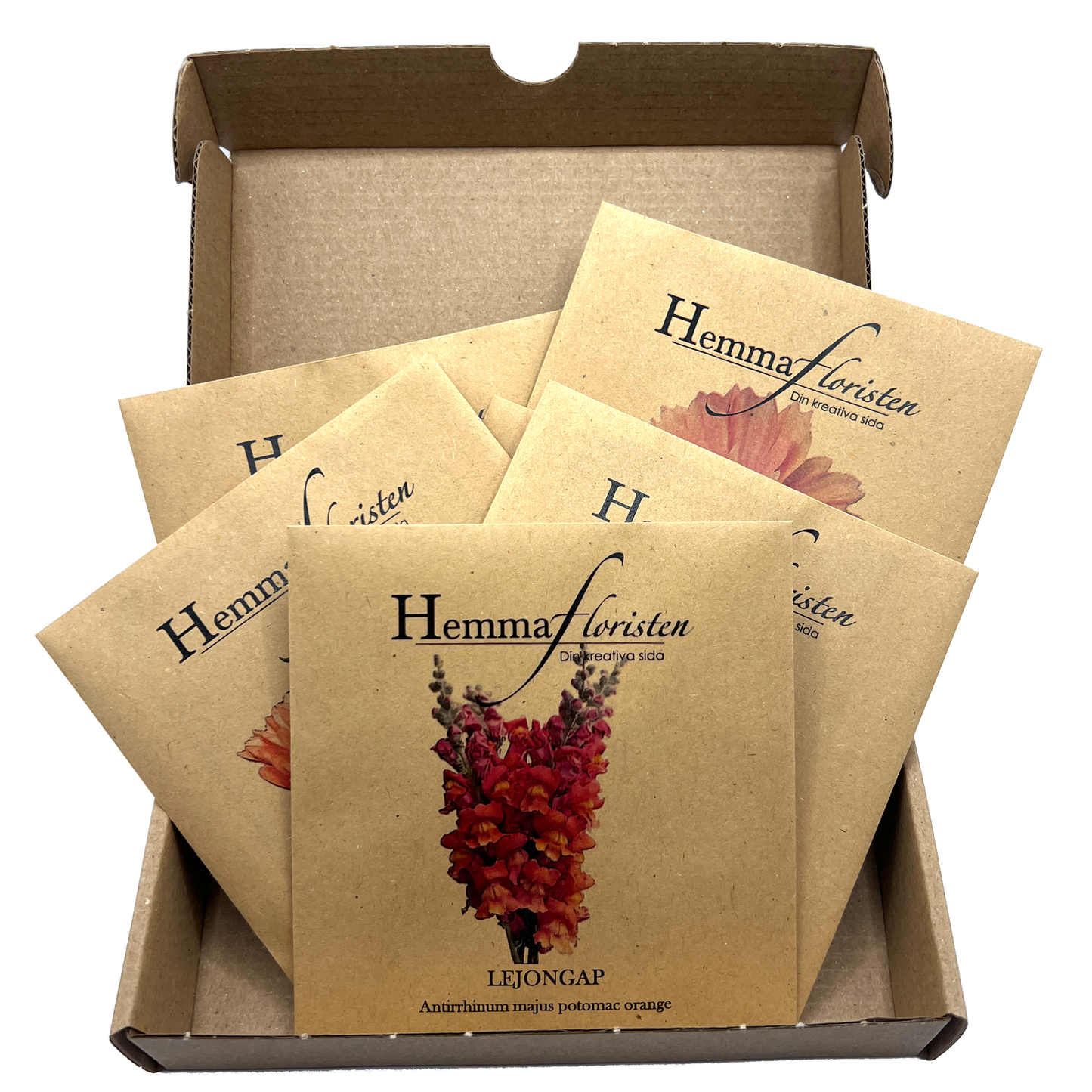 Fröbox Orange - Aprikos