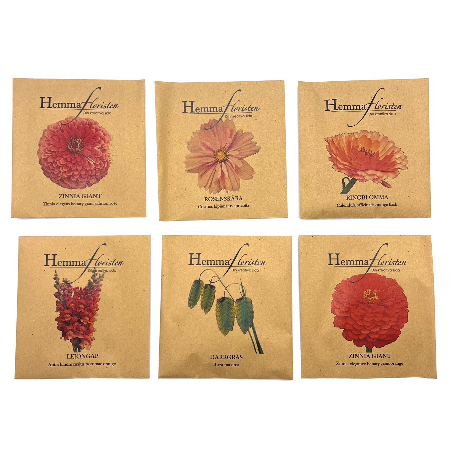 Fröbox Orange - Aprikos