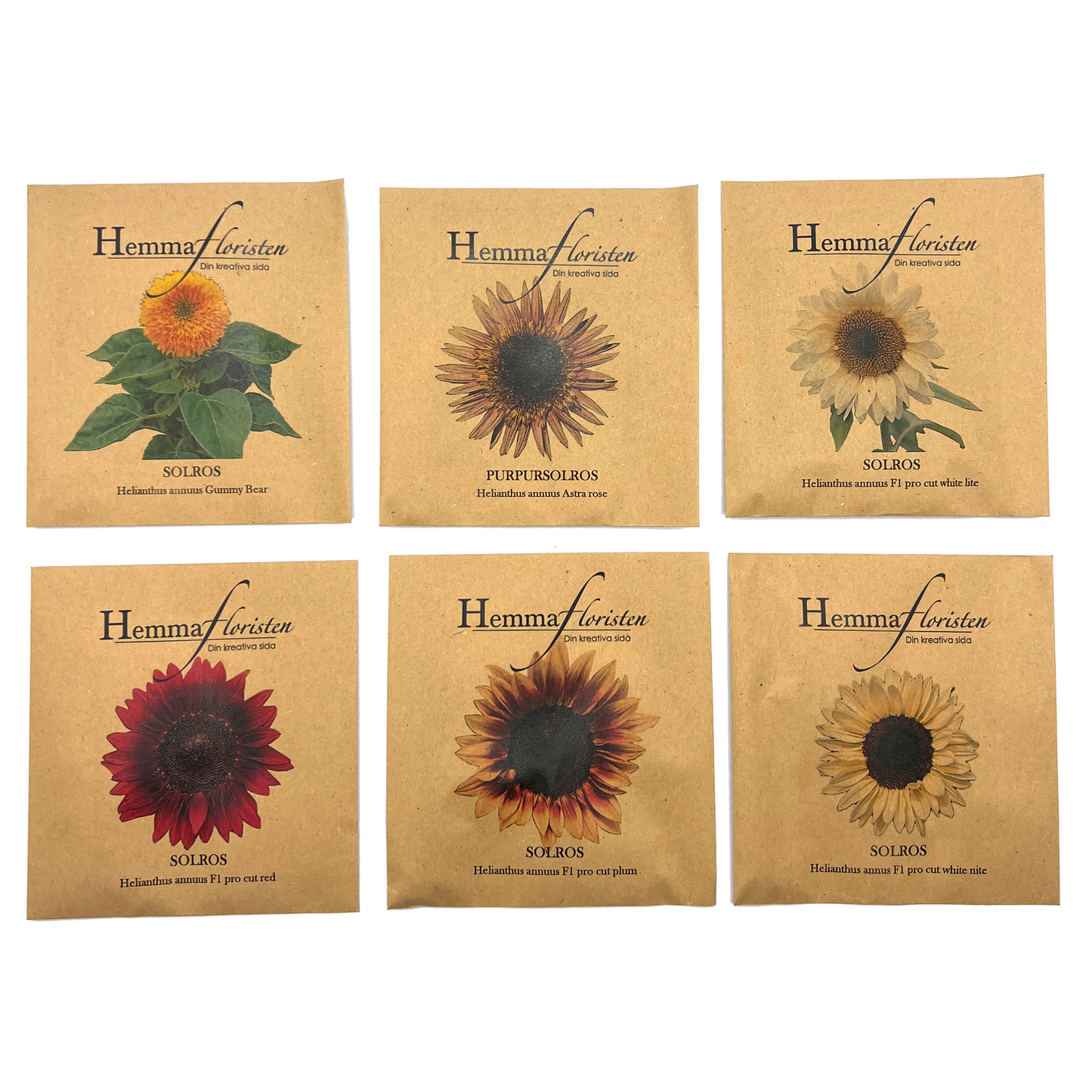 Fröbox Soliga solros