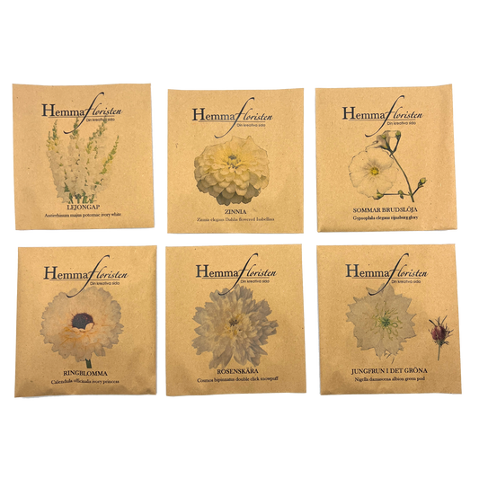 Fröbox Vackraste vitt