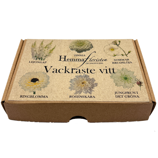 Fröbox Vackraste vitt